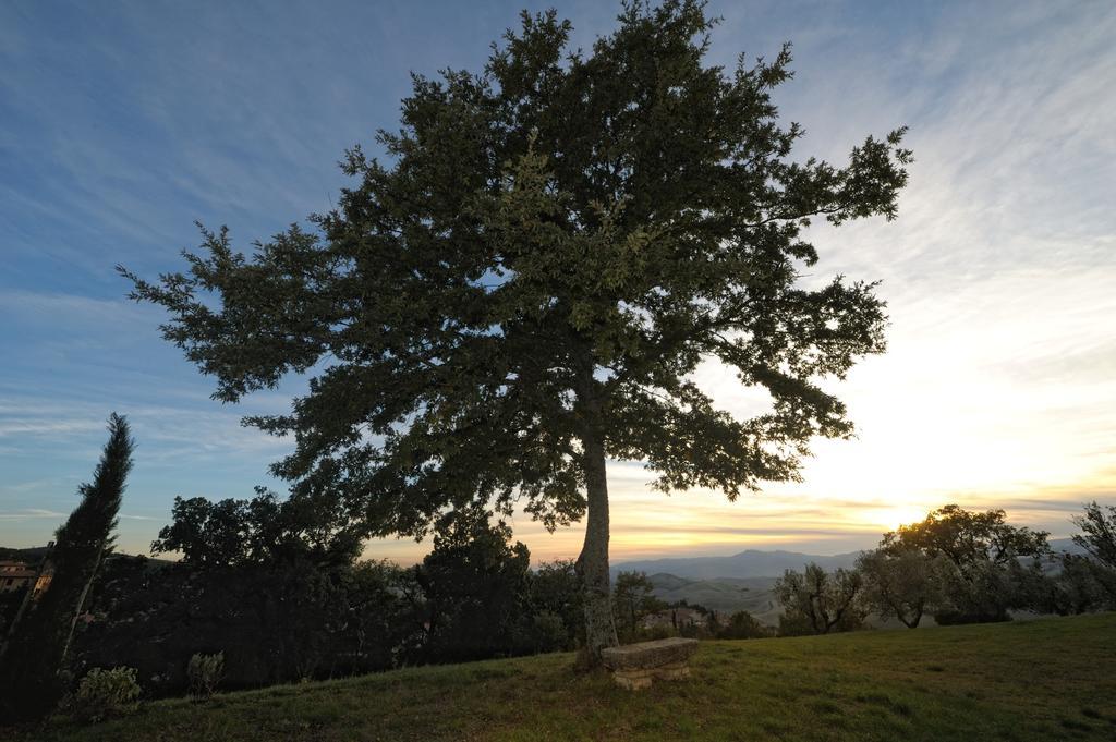Il Podere Degli Artisti San Casciano dei Bagni Dış mekan fotoğraf